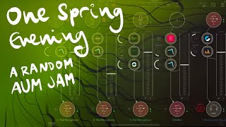 One Spring Evening (AUM improvised live performance)