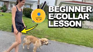 Beginner E-Collar Training: Leash Walking