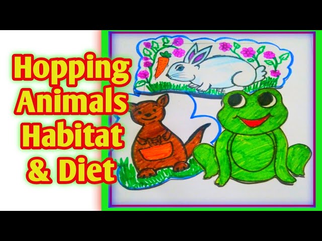 Hopping animals|| kangaroo||Jumping animals|| Hopping animals habitat &  diet|kangaroo facts for kids - YouTube