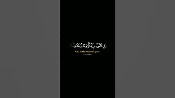 وفي الأرض آيات للموقنين || الذاريات #عبدالرحمن_المسعودي