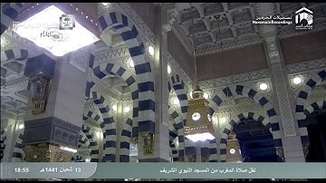 سورة البينة لفضيلة الشيخ علي الحذيفي حفظه الله إمام وخطيب المسجد النبوي الشريف