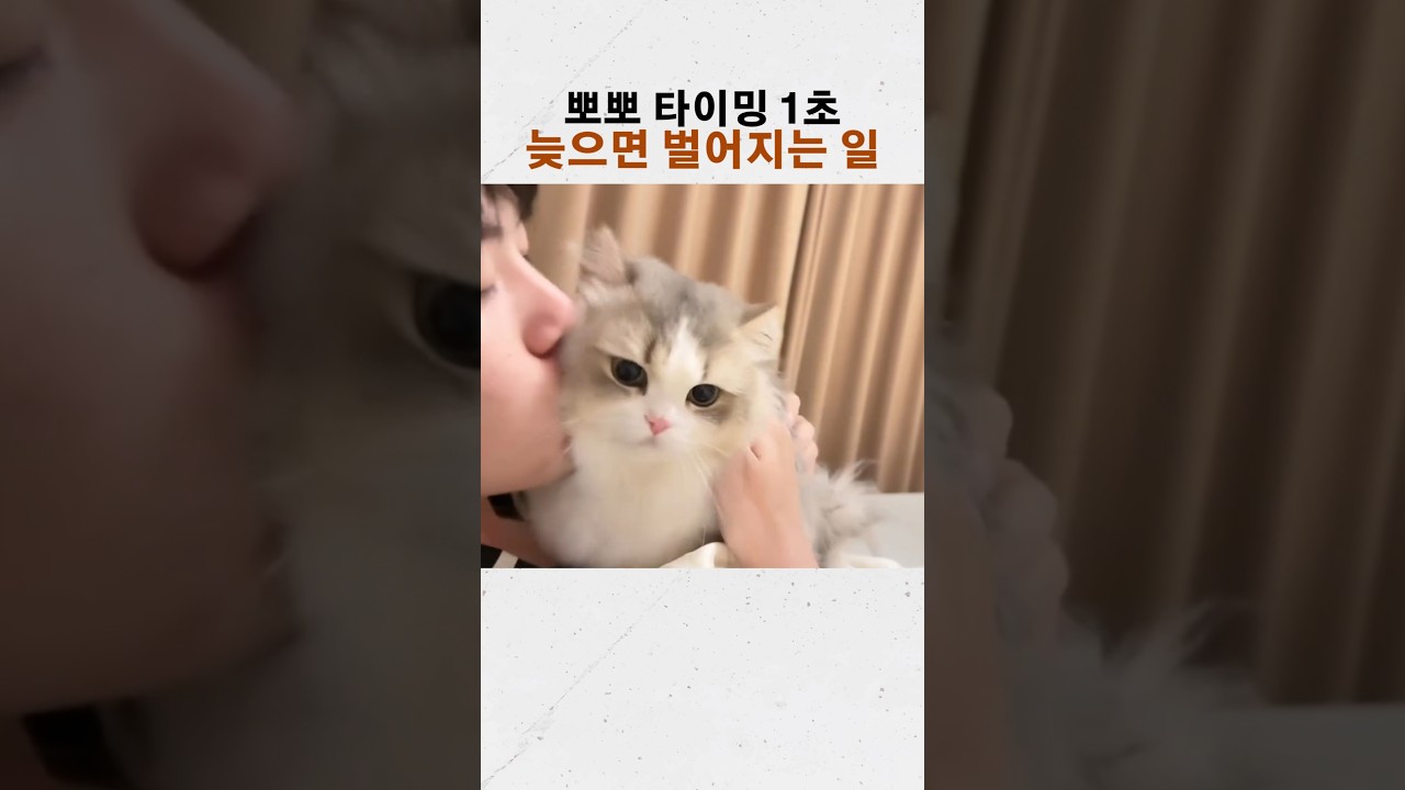 뽀뽀 타이밍 1초라도 늦으면 벌어지는 일 ㅋㅋ