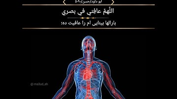 اذکار الصباح و المساء#اذكار #اذكار_الصباح #اذكار_المساء #دعاء #شفا #السعودية #islam #quran #allah