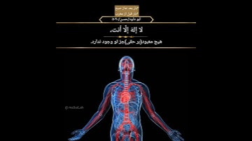 اذکار الصباح و المساء#اذكار #اذكار_الصباح #اذكار_المساء #دعاء #شفا #السعودية #islam #quran #allah