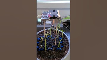 micro:bit grow light