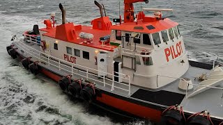 The golden hour saga