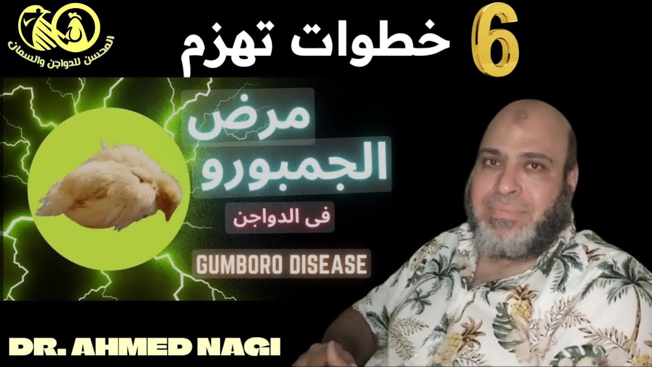♦️خمسة طب بدون عك♦️٢♦️كيف تقضي على فيرس «الجمبورو» فى (٦) خطوات بأقل وفيات♦️#د. #احمد #ناجي#المحسن