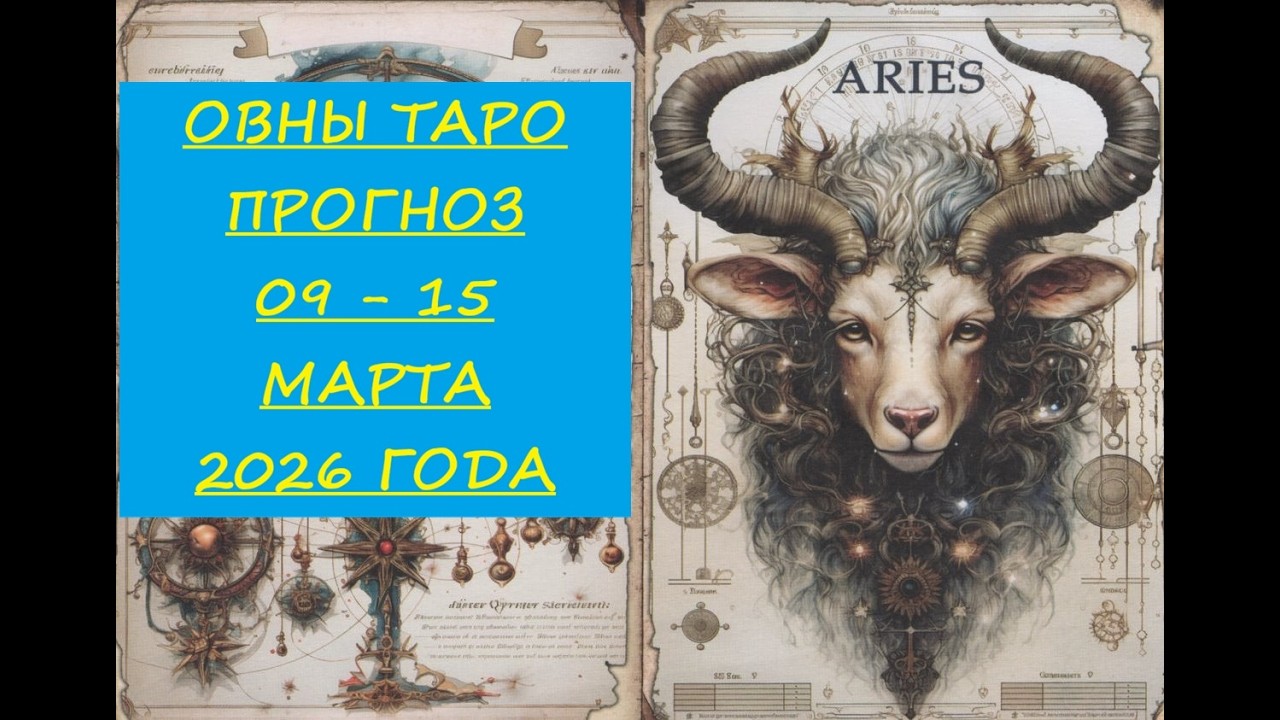 6 марта 2026 г.