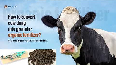 How to convert cow dung into granular organic fertilizer?