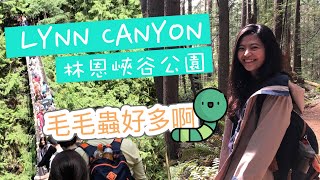 溫哥華林恩峽谷公園Lynn Canyon| 除了Capilano 這裡也有吊橋 ...