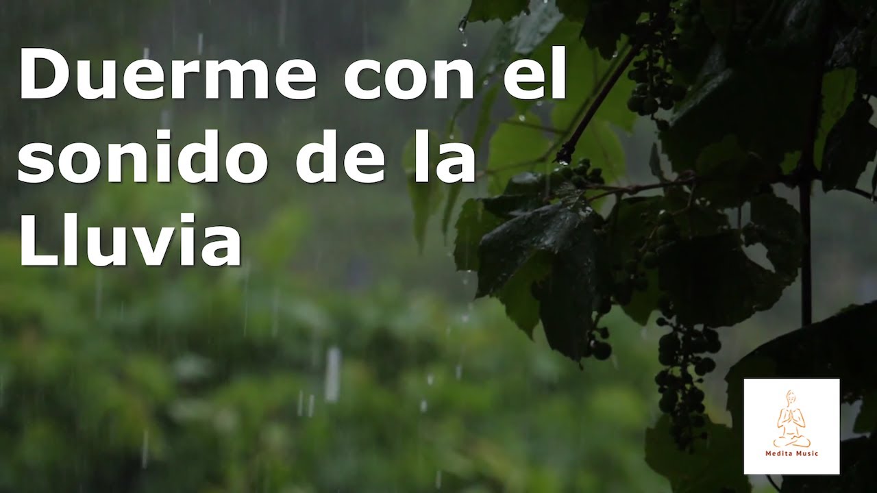 MÚSICA PARA DORMIR PROFUNDAMENTE CON LOS SONIDOS DE LA LLUVIA - YouTube