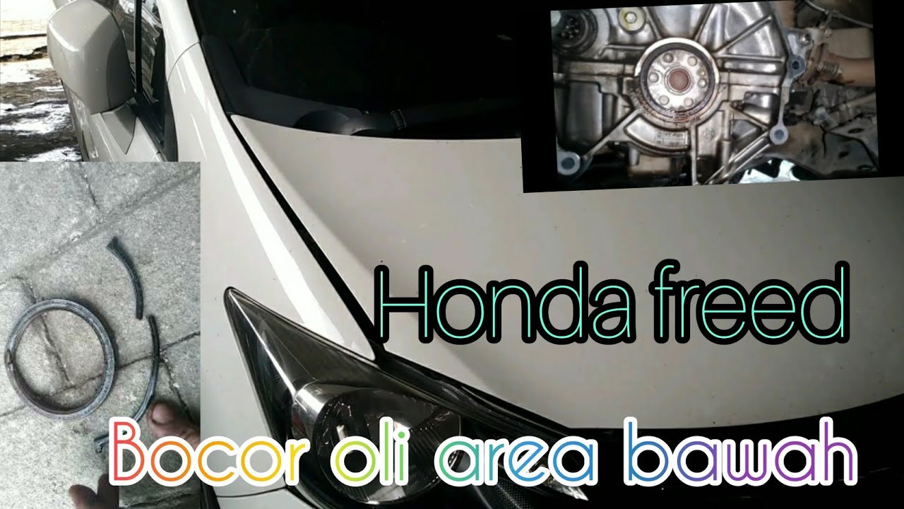 ganti sil cranksaf ,sil karter honda freed