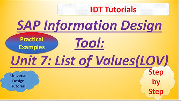 SAP IDT Unit 7 : List of Values: Practical Example