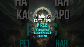 НАТАЛЬНАЯ КАРТА, ТАРО И РАС #силасознания