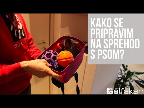 Video: Kako Naučiti Svojega Psa Prositi Za Sprehod