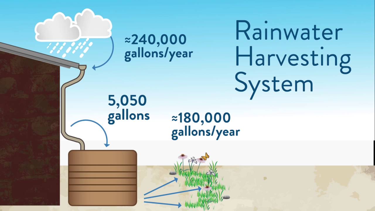 rainwater-harvesting-systems-is-it-worth-investing-noticias-levante