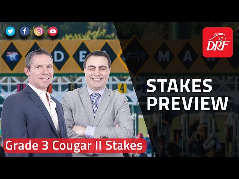 Grade 3 Cougar II Stakes Preview 2022