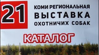 Выставка Охотничьих собак КОМИ 2018. Ринги КФЛ. Выставка Охотничьих собак КОМИ 2018. Ринги КФЛ.