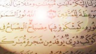 القرآن الكريم سورة القمر القارئ عماد محمد