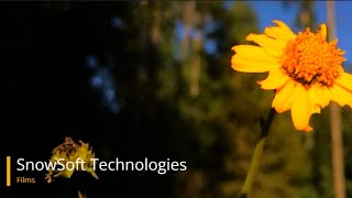 SnowSoft Film 1 -Nature in HD #nature #cinematicvideo screenshot 1