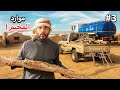 صعوبة تجهيز اغراض المخيم اكبر كمية حطب 3