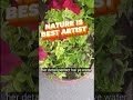 Nature is a great Artist #garden #flowers #nature #trending #shorts