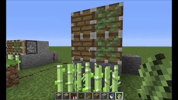 Minecraft 1.4.2 Piston Sugarcane bug.