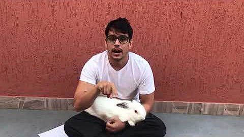 Onde os coelhos dormem?