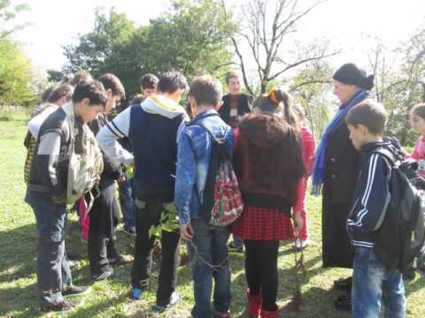 პროექტი:,,გარემოს გამწვანება,, ჩემი სადამრიგებლო კლასი