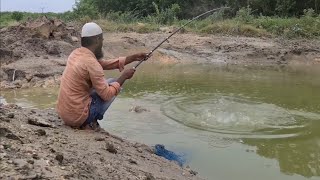 Fish Hunting|Fisherman Catching Rohu Fishes with Single Hook|in Village