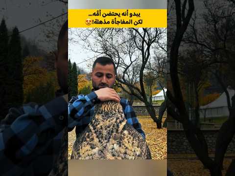 يبدو أنه يحتضن أم ه لكن المفاجأة مذهلة