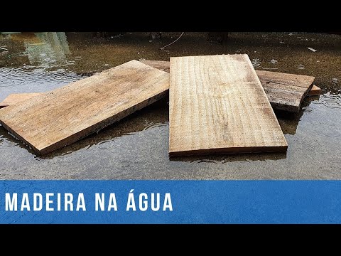 Vídeo: A madeira de lei pode ser molhada?