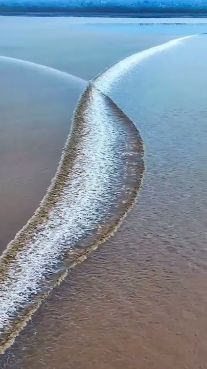 two different ocean water never mingle together...🌊🌊