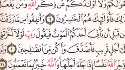 تلاوه من سورة المنافقون في صلاة المغرب للقارئ محمد ناجي سلامه