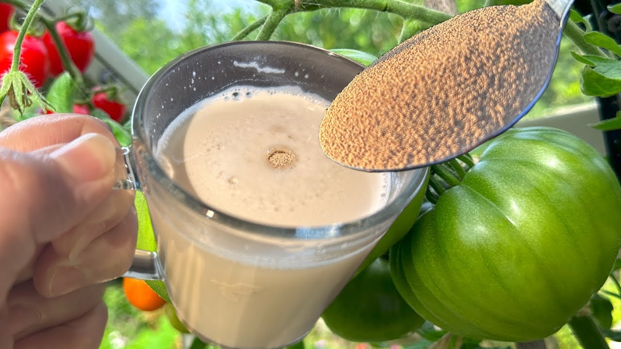 boost-your-plants-with-this-powerful-yeast-based-fertilizer-easy-diy