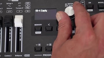 Legend One - New Organizer Function | Update 1.02