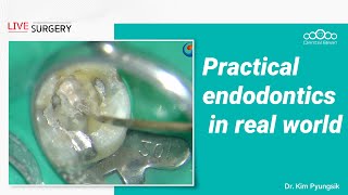 Practical endodontics in real world - [Dr. Kim Pyungsik]