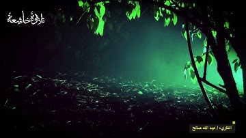 من سورة الشعراء القارئ عبدالله صالح