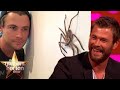 Chris Hemsworth's Hilarious Brown Snake Story | The Graham Norton Show