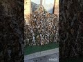 как сделать скрадо