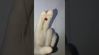 Blood Smear Formation on slide.#laboratory #mlt #smear #bloodsmear#viral #shorts #trending#ytshorts