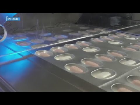 Paxlovid Rebound: What You Need to Know About COVID Symptom Return