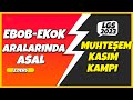 LGS 2023 | EBOB-EKOK ARALARINDA ASAL SAYILAR |Muhteşem Kasım Kampı👉 2.DERS