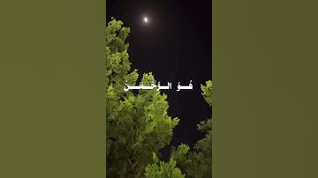 ﴿ لا إله إلا هو عالم الغيب ﴾ | من سورة الحشر | تلاوة مؤثرة #قران #تلاوة_خاشعة #الحشر #قرآن #quran