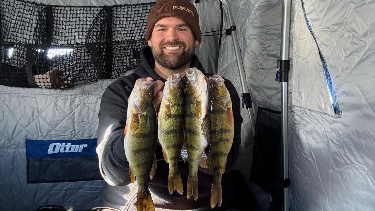 Ловля окуня в прерийных котловинах!