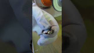 研磨剤含浸バフでプラチナ指輪磨き２　Buffing a Platinum ring by a Buffing wheel impregnated with Polishing compound.2