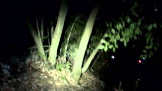 20140429nightride