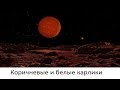 Коричневые и белые карлики