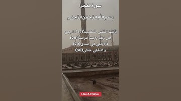 سورة الفجر #shortvideo #subscribe #viral #fypシ #duet #tiktok #reels #trending #allah #quran