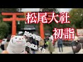 【kyoto】松尾大社、2022年寅年初詣